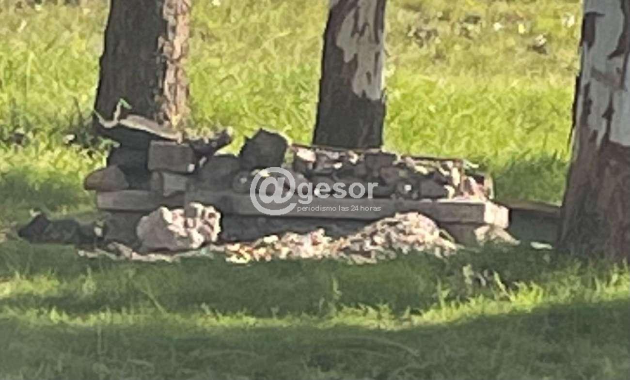 Image4